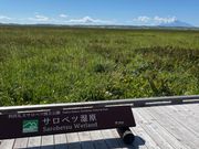 サロベツ原生花園