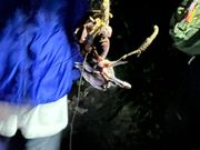 ヤシガニに出会えました