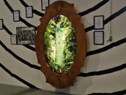 カウリミュージアム