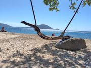 フィッツロイ島