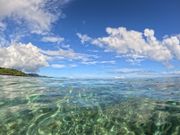 透明度ハンパない！