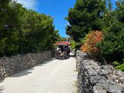 水牛車での移動中