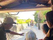 水牛車での説明