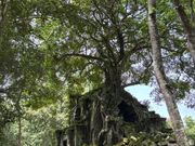 手付かずのところが、よかったです。