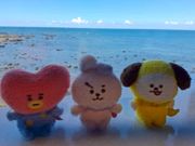 美味しい！キレイ！最高！！