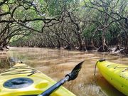 自由にゆったり