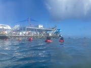 ポンツーンでシュノーケリング