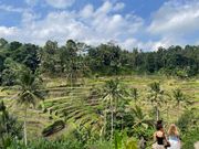 テガララン(棚田)