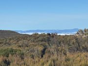 ブルーマウンテン