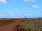 どこまでも続くパイナップル工場