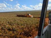 オープンウィンドウのバス！