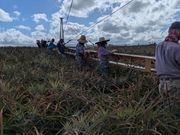 みんなフレンドリー♪