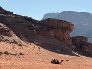 ワディラム爆走