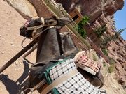 ペトラでロバに乗る