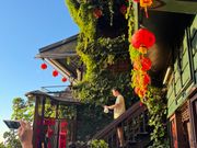 救分の有名なお茶屋さん