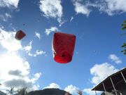 願いよ飛んでけ〜！