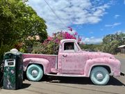 アートなハナペペ