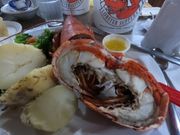 ロブスターランチ