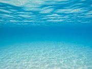 加計呂麻島の水中