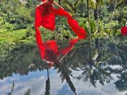 3000円くらいで8ヶ所のブランコに乗って写真撮影ができるところを紹介してもらった。ドレス込みの値段