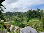 棚田の見えるレストランでランチ