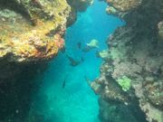 かなり水深のある海を見られて大満足