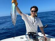 カツオを釣りました🎣