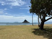 チャイナマンズハット