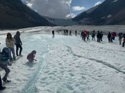 コロンビア大氷原(雪上車)