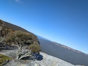 ブルーマウンテンズ