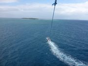 思ってたより高く飛んだ