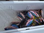 3回目、高校生2人と…