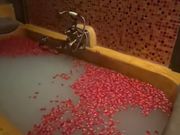 薔薇の花びらがいっぱいのミルキーバス