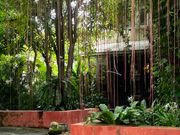 門を入ったところです。自然が出迎えてくれます。