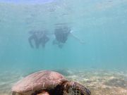 ガイドさんが撮ってくれました