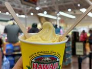 ドールプランテーション