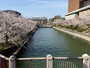 疏水の橋を渡る瞬間