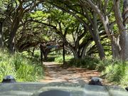 映画ロケ地ツアー1