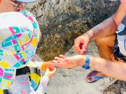 ヤドカリについて教えてもらいました