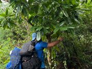 ガイドさんが道中でボンドの木や蜘蛛の説明をしてくださりました！