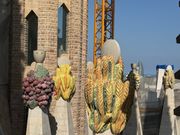 サグラダファミリアの塔に登って