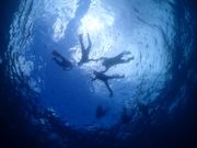 ガイドさんが海中から撮影してくれました