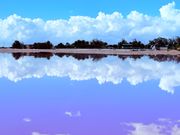 鏡張りのピンクレイク