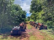 休憩中の停車されたバギー