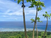 星屑の丘からのビュー