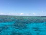 限りなく透明に近いブルー