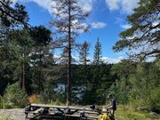 Bisajarvi Cooking Shelter