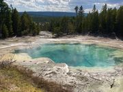 イエローストーン