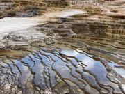 イエローストーン