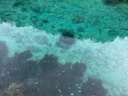 エメラルドバレイ